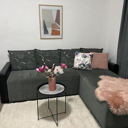 Apartament Apartman Aleksic Jagodina Zewnętrze zdjęcie