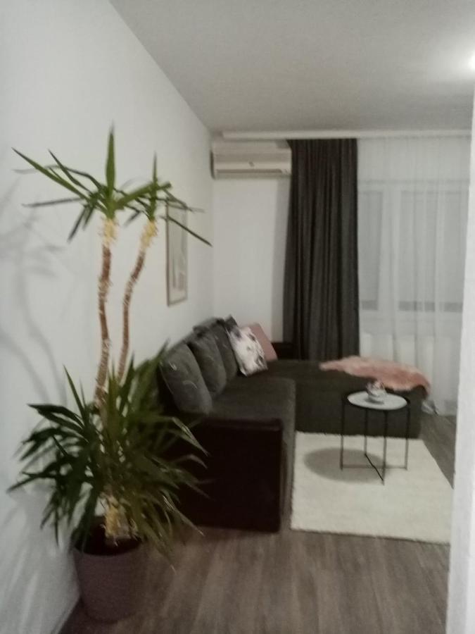 Apartament Apartman Aleksic Jagodina Zewnętrze zdjęcie