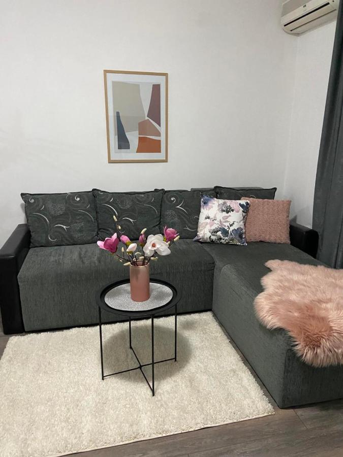 Apartament Apartman Aleksic Jagodina Zewnętrze zdjęcie