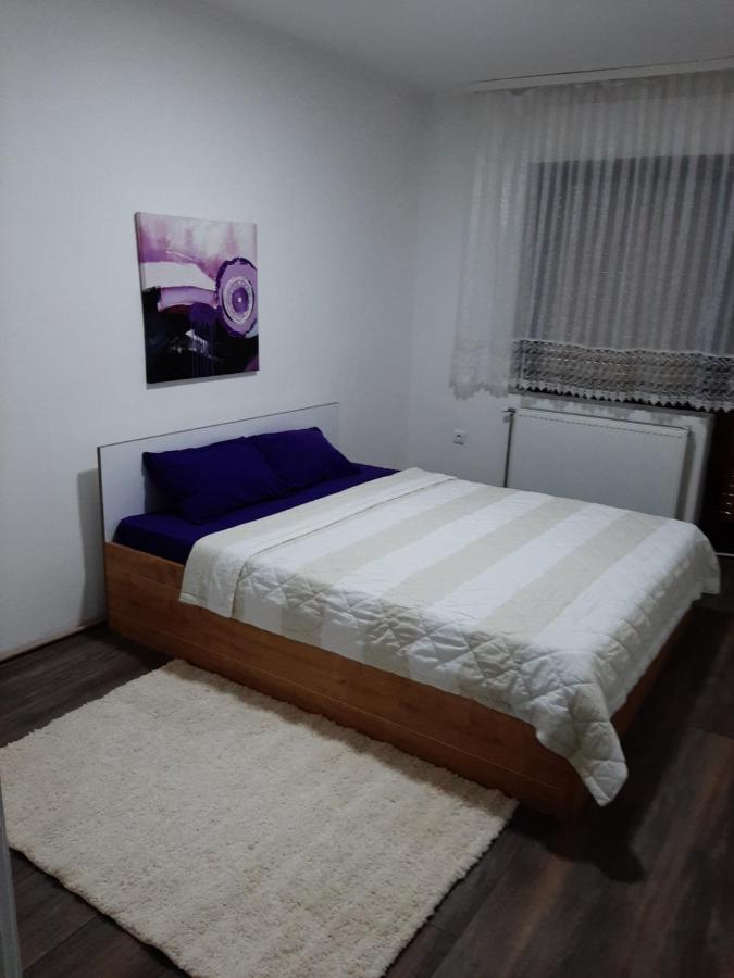 Apartament Apartman Aleksic Jagodina Zewnętrze zdjęcie