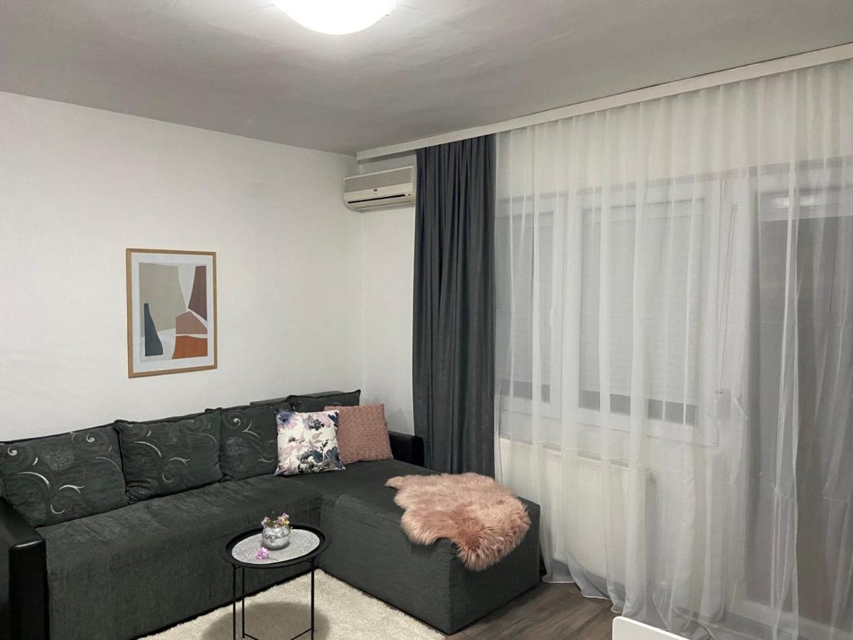 Apartman Aleksic Jagodina Zewnętrze zdjęcie