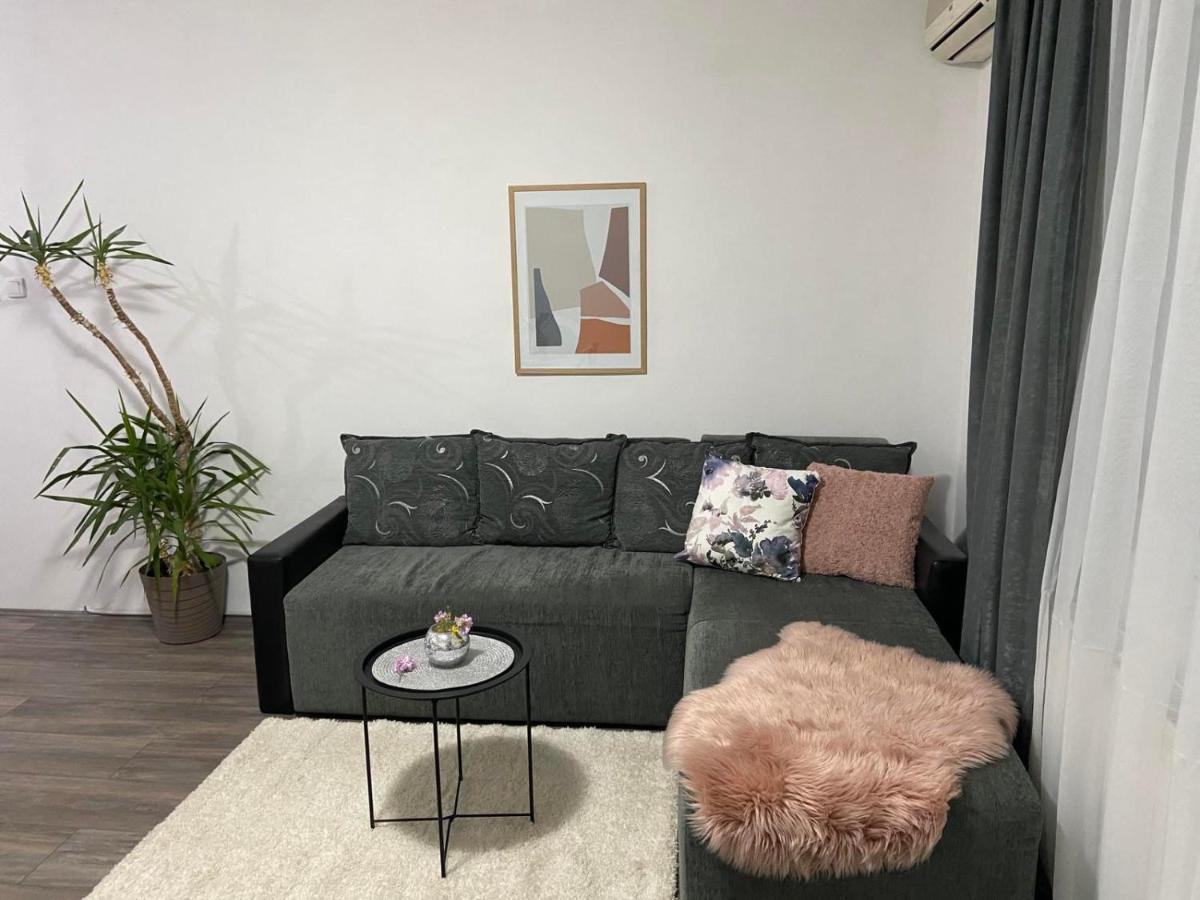 Apartament Apartman Aleksic Jagodina Zewnętrze zdjęcie